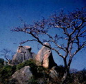 Rocks in the Matopo Hills