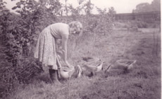 Penny in Peggy's garden