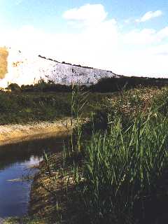 Lewes - Railway Land Local Nature Reserve