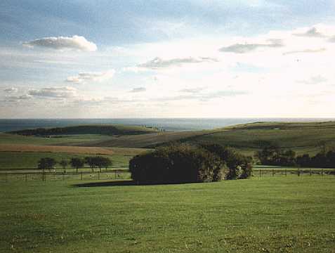 Trees and the view of the sea near Brighton